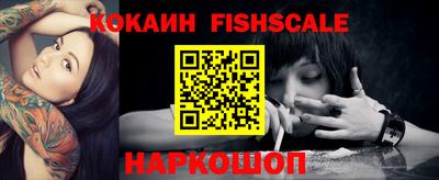 шишки Кандалакша