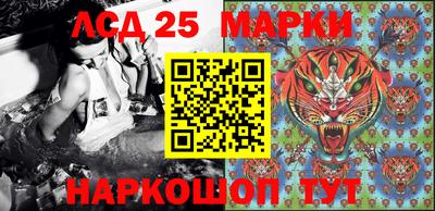 шишки Камышлов