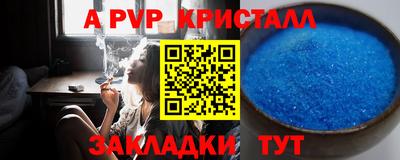 шишки Камышлов