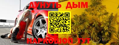 шишки Камышлов