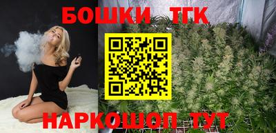 шишки Камышлов