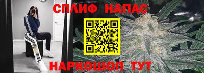 шишки Камышлов