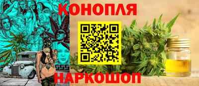шишки Кандалакша